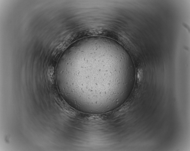 X0000103150867200809051635