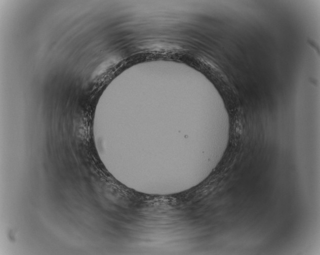 X0000103150869200809051635