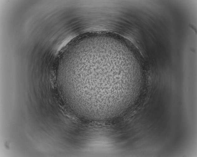 X0000103150871200809051635