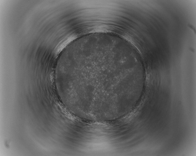 X0000103150874200809051635