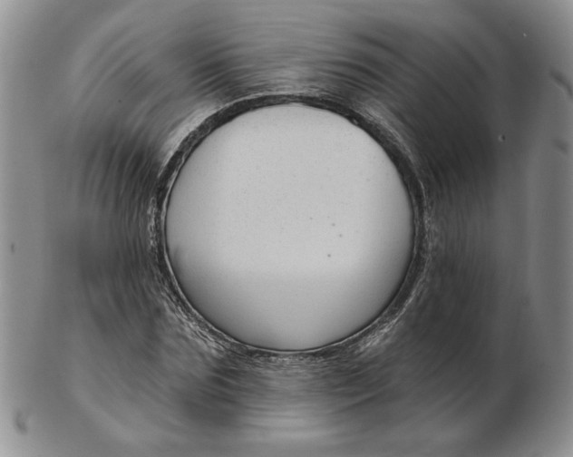 X0000103150875200809051635