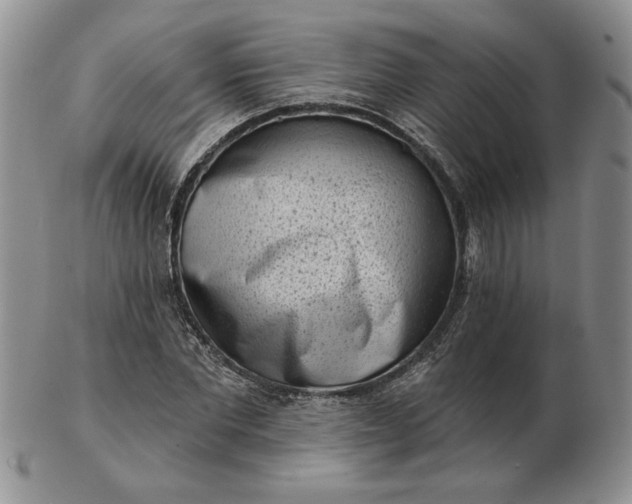 X0000103150877200809051635