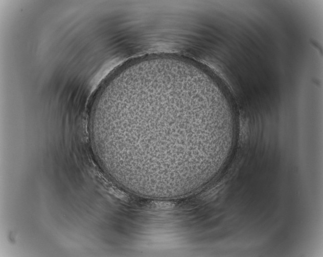 X0000103150878200809051635