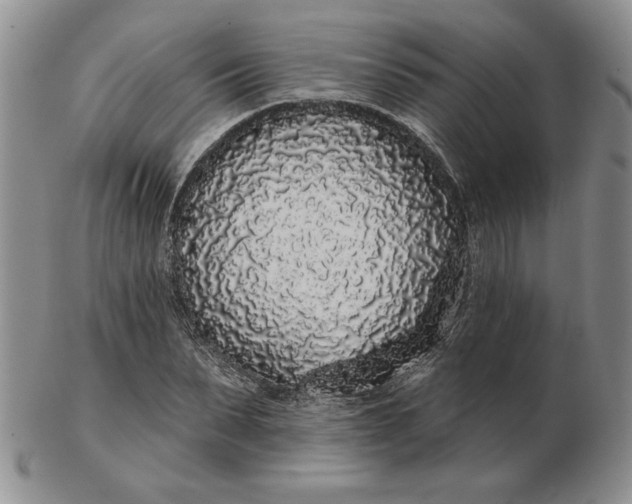 X0000103150879200809051635