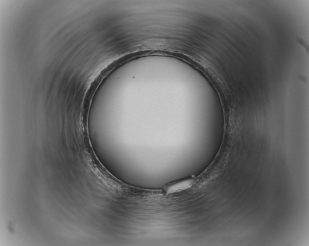 X0000103150880200809051635