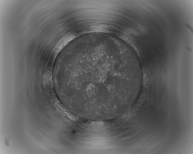 X0000103150882200809051635