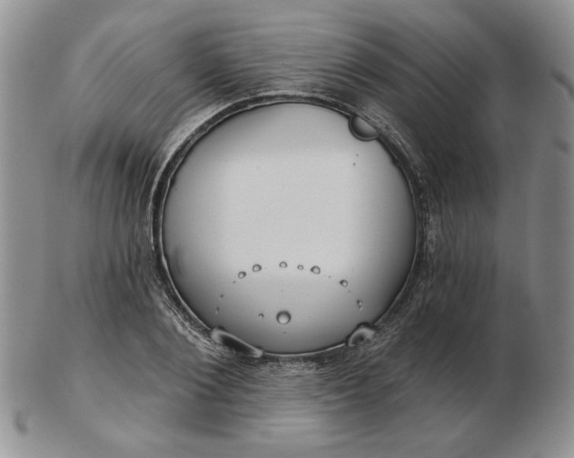 X0000103150884200809051635