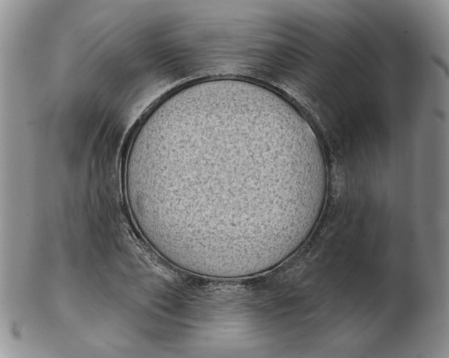 X0000103150886200809051635