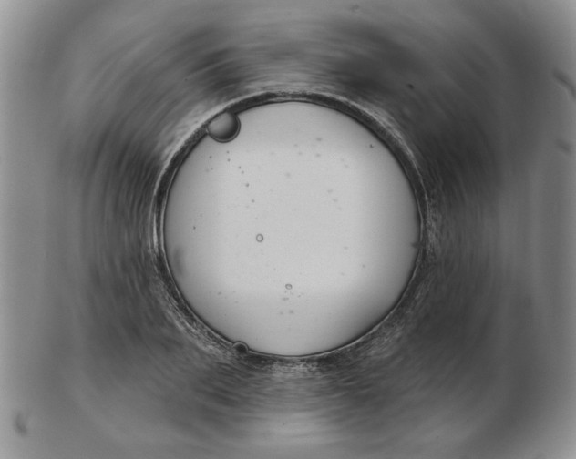 X0000103150887200809051635