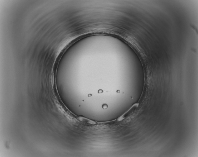 X0000103150888200809051635