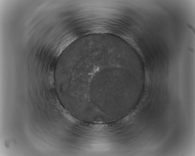 X0000103150889200809051635