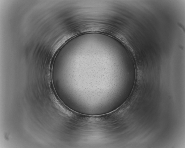 X0000103150890200809051635