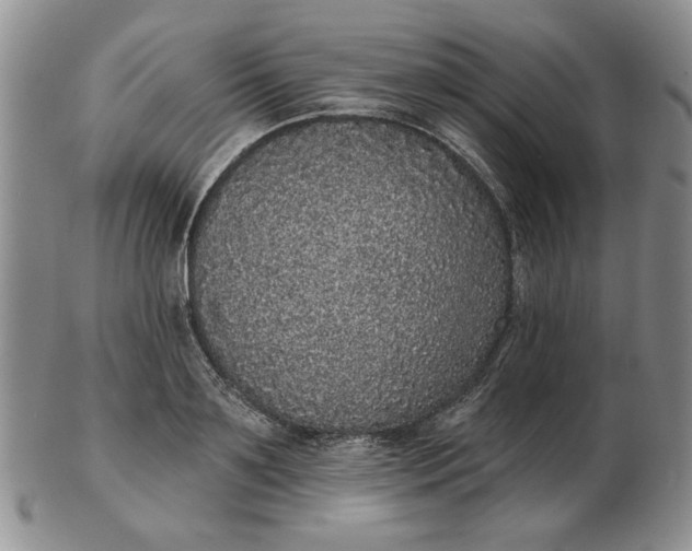 X0000103150891200809051635