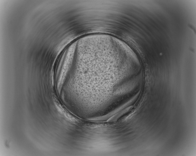 X0000103150892200809051635