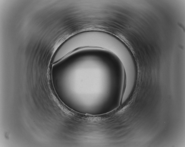 X0000103150893200809051635