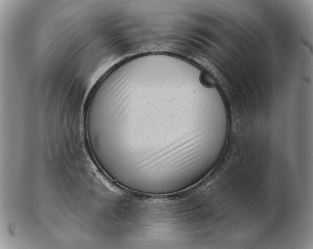 X0000103150894200809051635