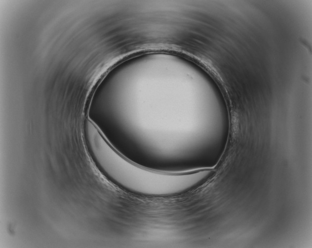 X0000103150895200809051635