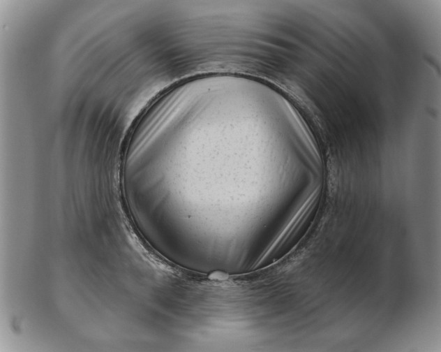 X0000103150896200809051634