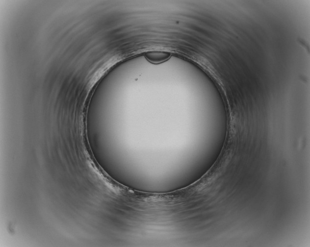 X0000103150898200809051634