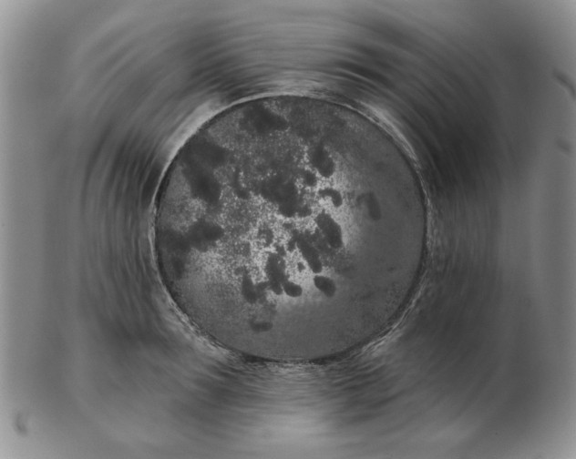 X0000103150899200809051634