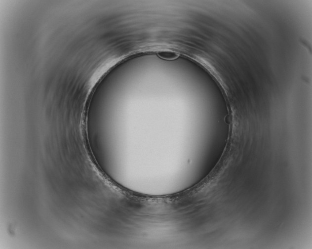 X0000103150901200809051634