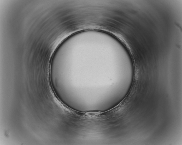 X0000103150903200809051634