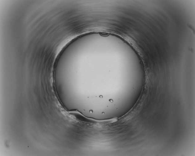 X0000103150904200809051634