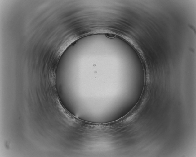 X0000103150905200809051634