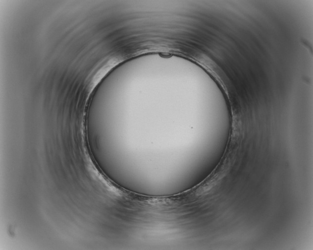 X0000103150906200809051634