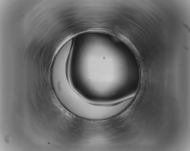 X0000103150908200809051634