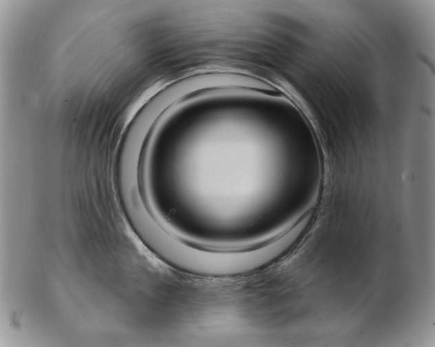 X0000103150909200809051634