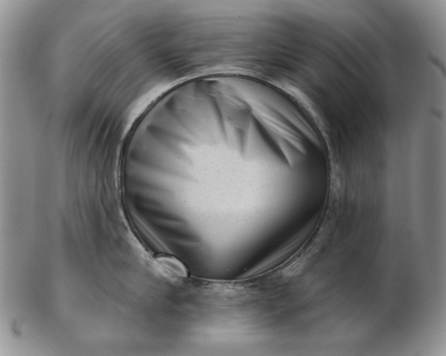 X0000103150910200809051634