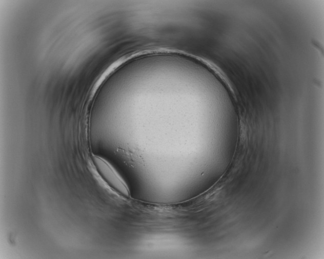 X0000103150911200809051634