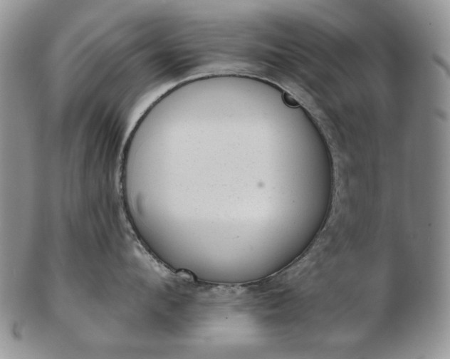 X0000103150912200809051634