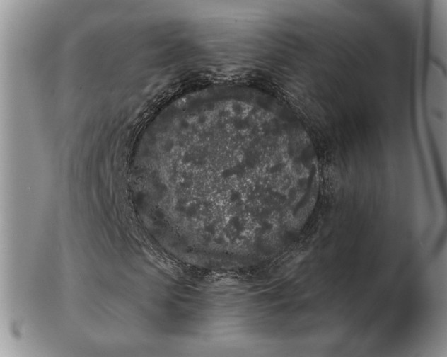 X0000103150913200809051634