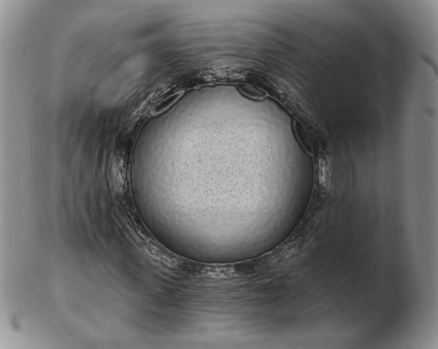 X0000103150915200809051634