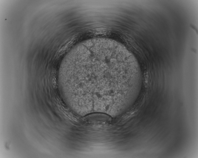 X0000103150916200809051634