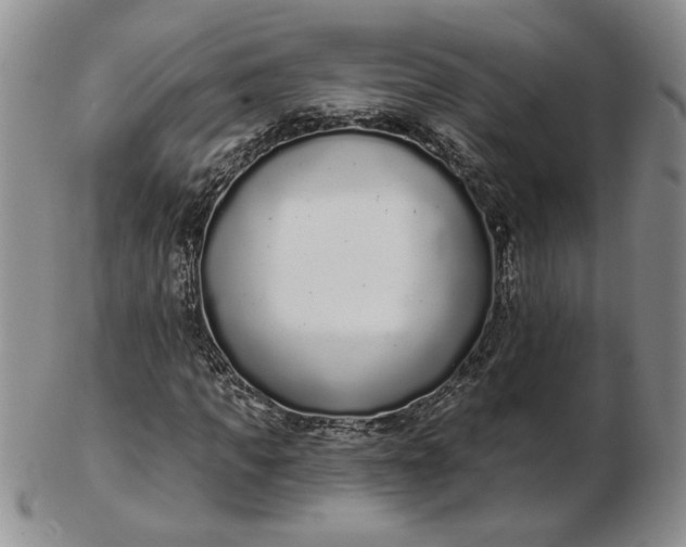 X0000103150917200809051634