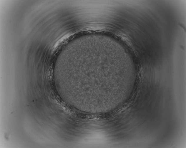 X0000103150920200809051634