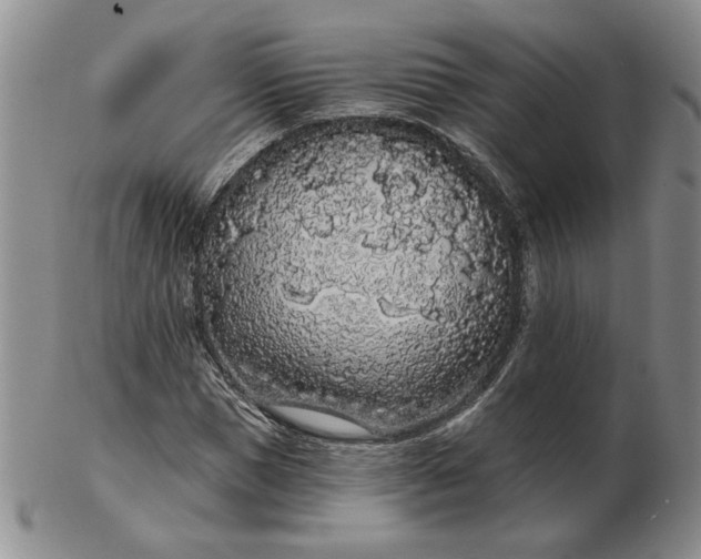 X0000103150921200809051634