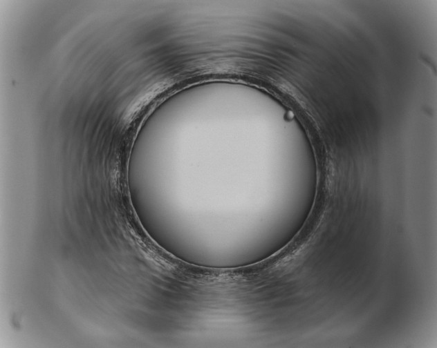 X0000103150922200809051634