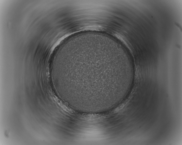 X0000103150923200809051634