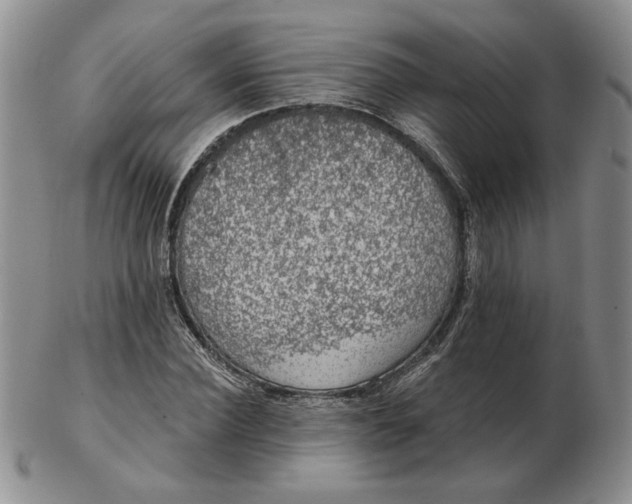 X0000103150924200809051634