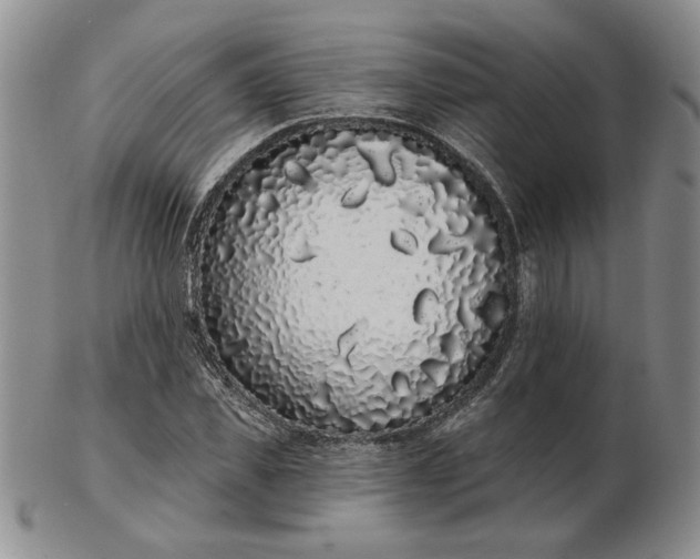 X0000103150925200809051634