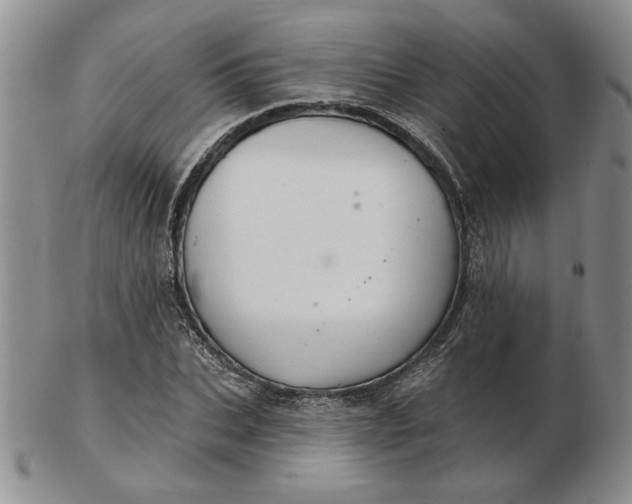 X0000103150927200809051634