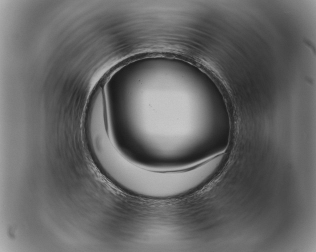 X0000103150928200809051634