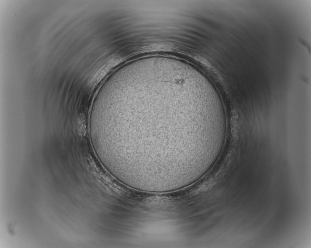 X0000103150929200809051634