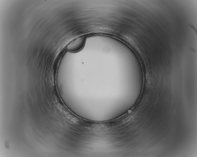 X0000103150931200809051634