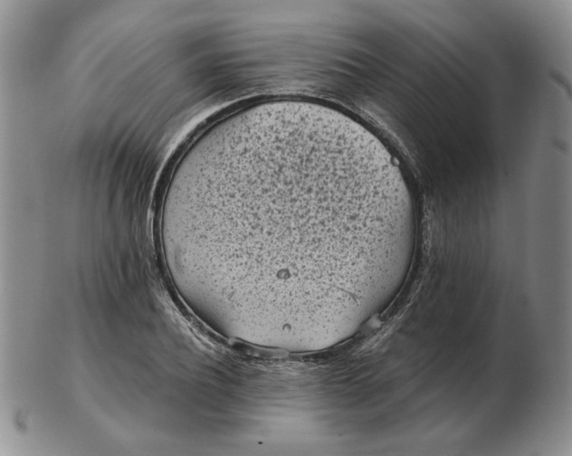 X0000103150932200809051634