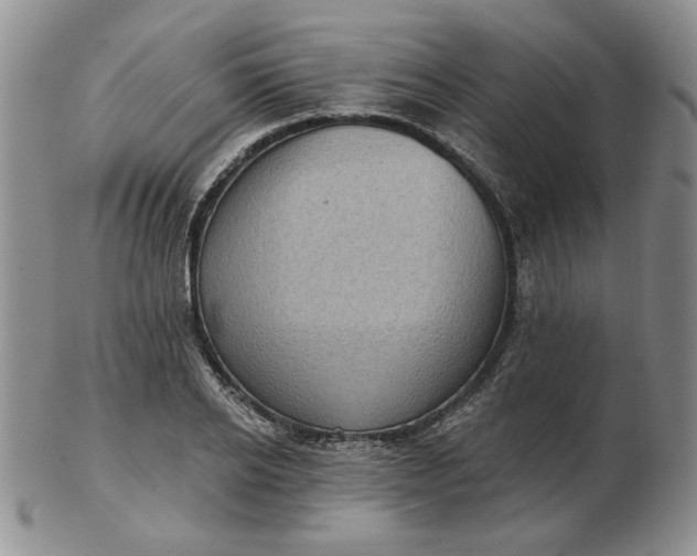 X0000103150934200809051634